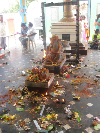 Information about One of the famous temple in AP sri sektheeswara swami temple enamadurru. 